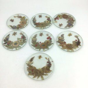 Vintage Set Of 7 Clear Pressed Flower 3" Coasters Lucite Footed Dried Flowers